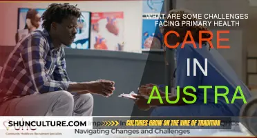 Challenges in Australian Primary Healthcare: Issues and Solutions