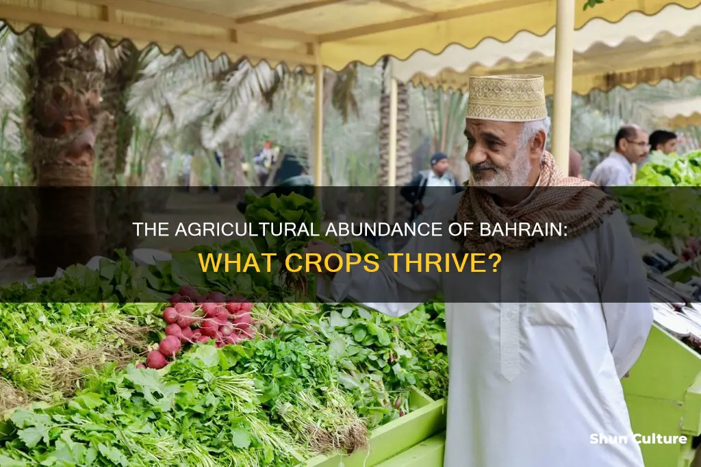 what are some crops the bahrain grow