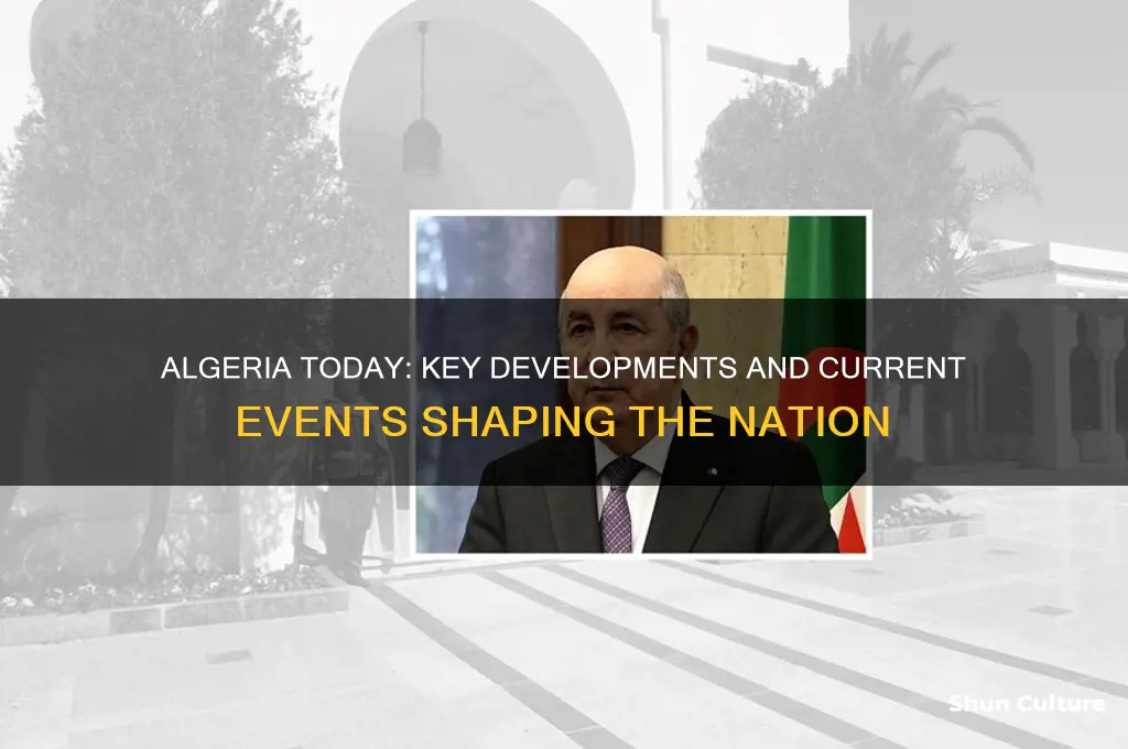 what are some current events in algeria