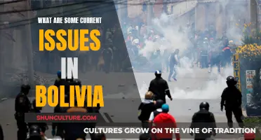 Bolivia's Current Challenges: Politics, Economy, and Society