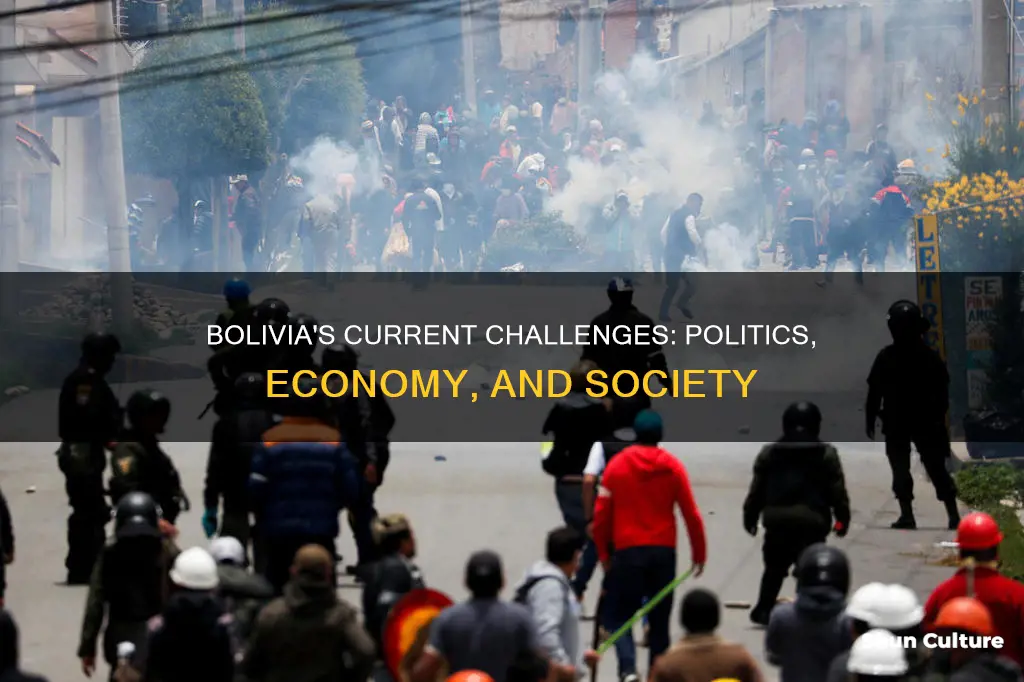 what are some current issues in bolivia