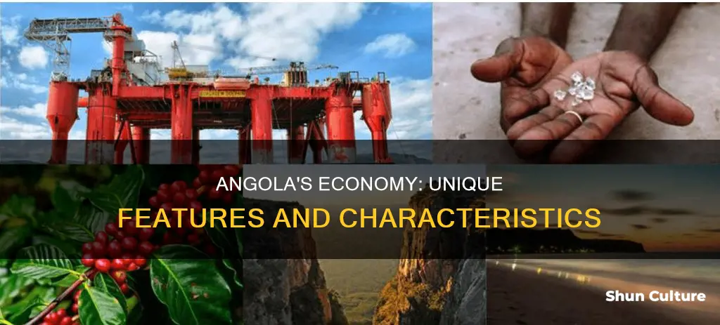 what are some economic features of angola