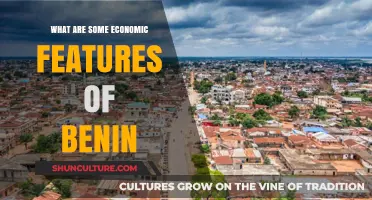 Exploring Benin's Economic Landscape: Opportunities and Challenges