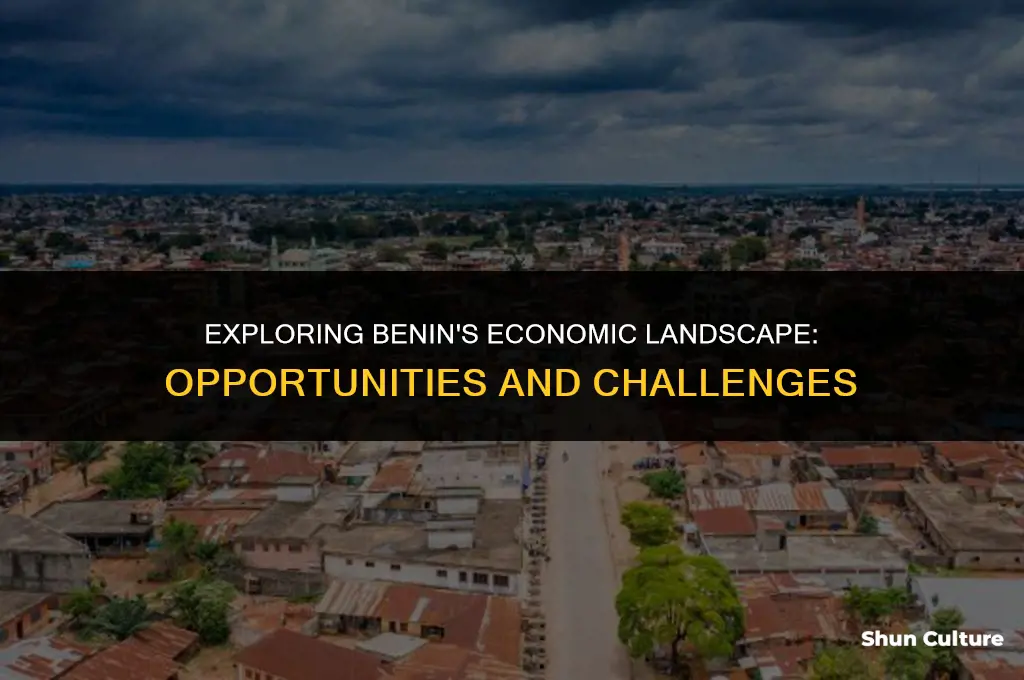 what are some economic features of benin