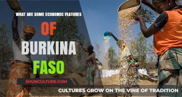 Exploring Burkina Faso's Economic Landscape: Opportunities and Challenges