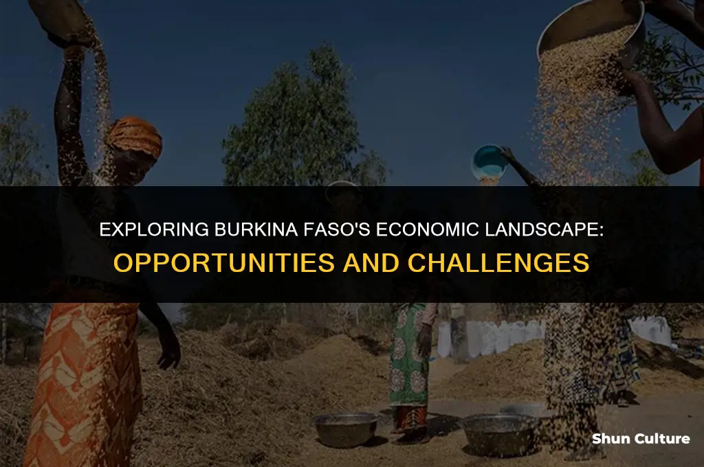 what are some economic features of burkina faso