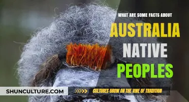 Aboriginal Australians: History, Culture, and Traditions