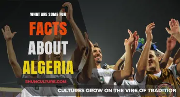 Discover Algeria's Surprising Charm: Fun Facts About Its Culture and History