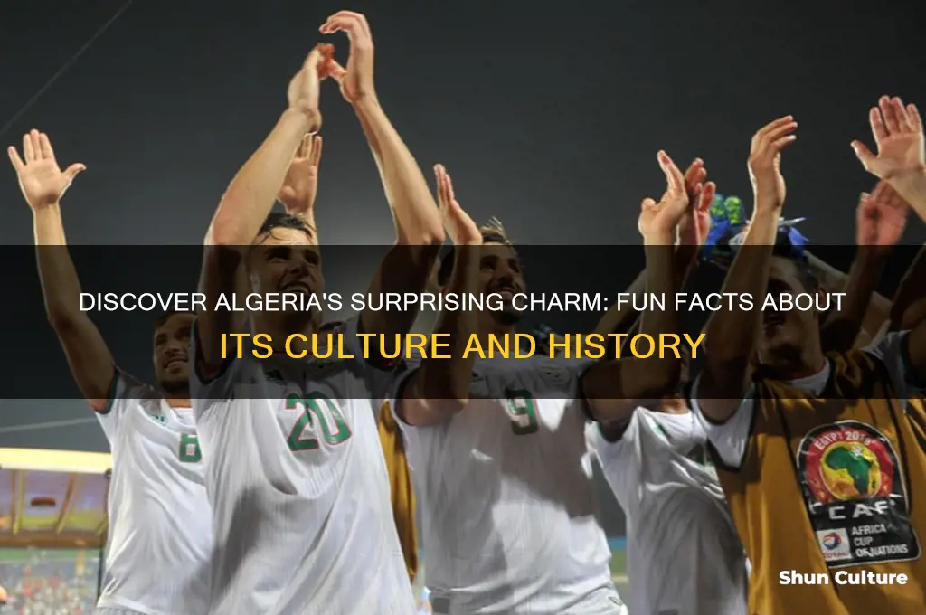 what are some fun facts about algeria