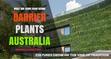 Sound Barrier Plants for Australian Gardens