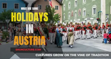 Exploring Austria: Unique Holidays and Traditions