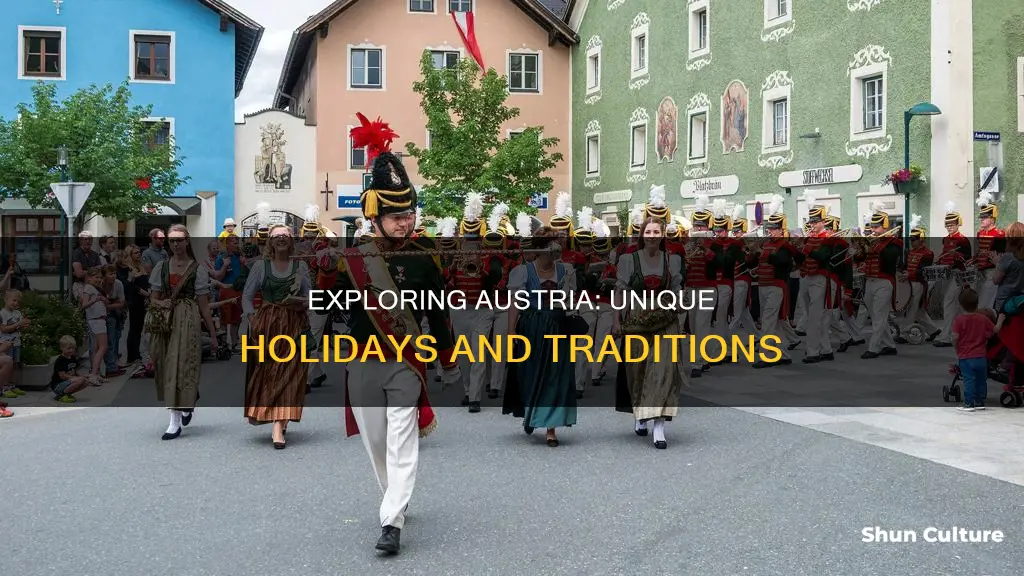 what are some holidays in austria