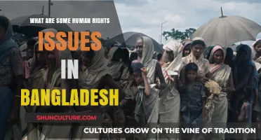 Bangladesh's Human Rights Challenges: Key Issues and Urgent Concerns
