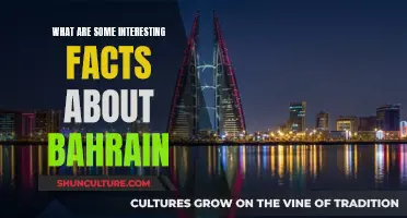 Exploring Bahrain: Unique Facts and a Fascinating History