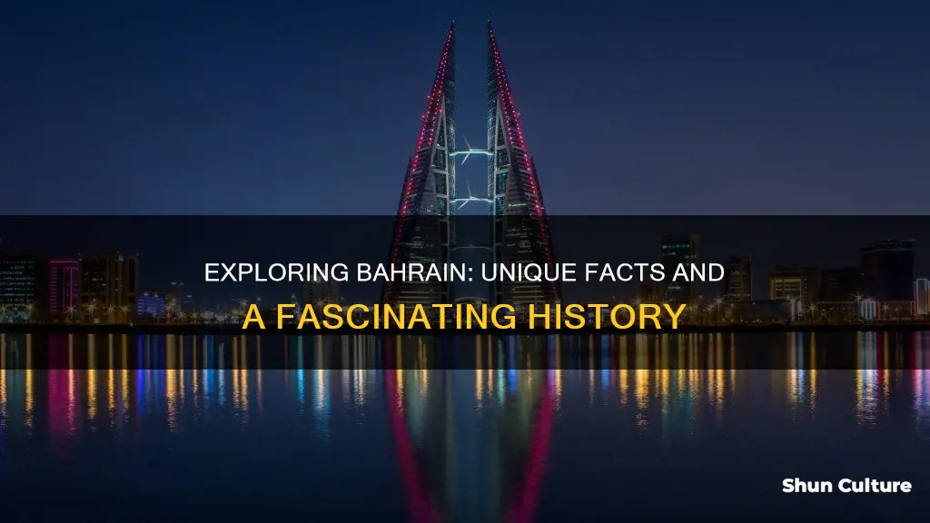 what are some interesting facts about bahrain