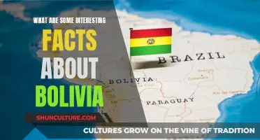 Exploring Bolivia: Unique Facts and Insights