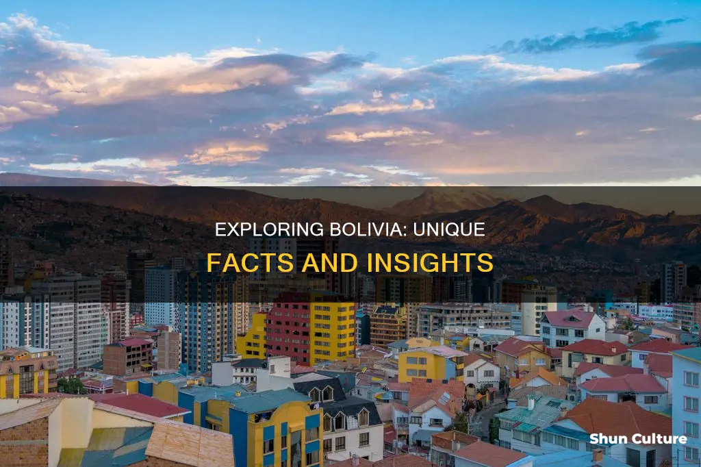 what are some interesting facts about bolivia