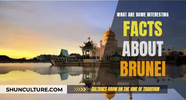 Unveiling Brunei: Fascinating Facts About the Nation