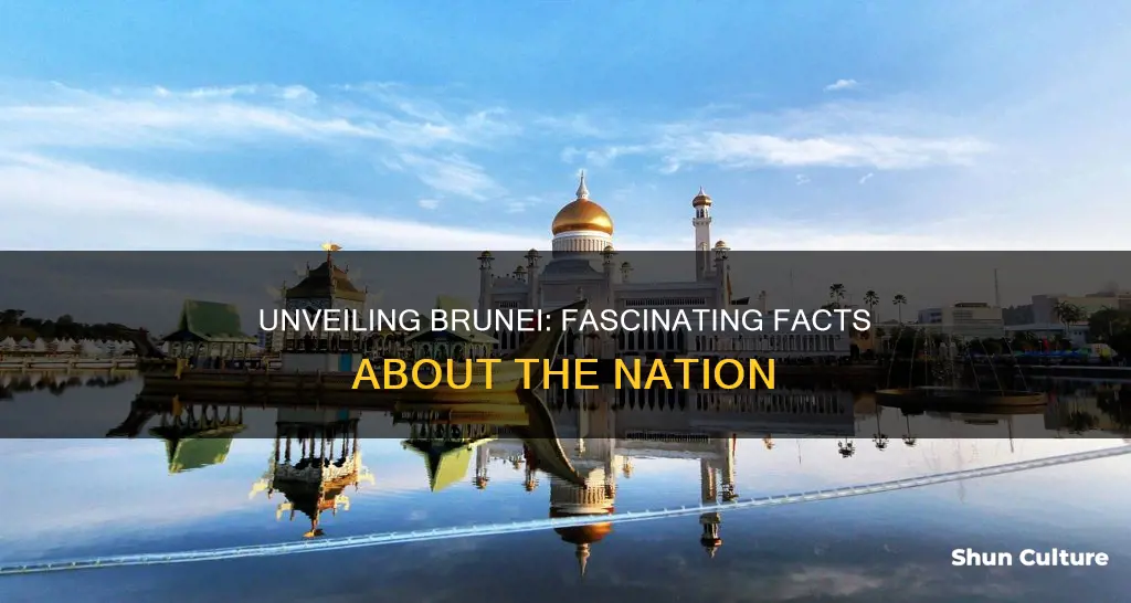 what are some interesting facts about brunei