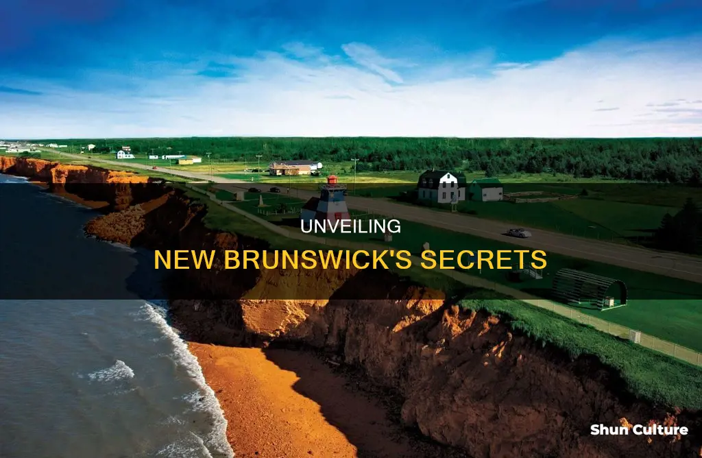 what are some interesting facts about new brunswick