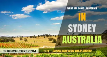 Exploring Sydney's Diverse Landforms: From Beaches to Mountains