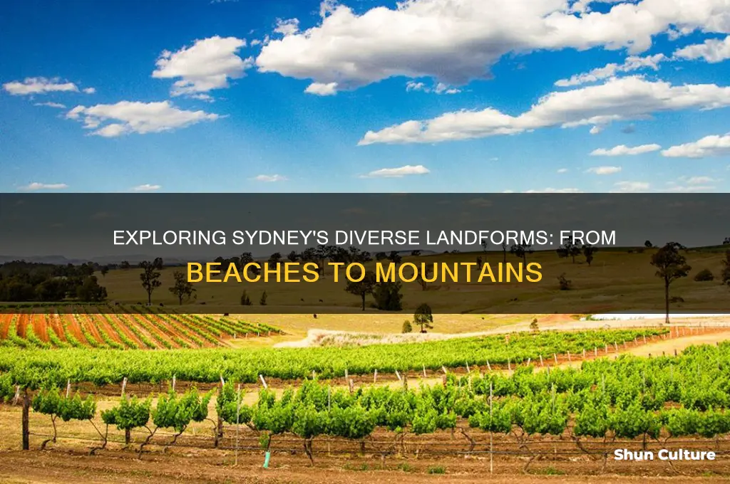 what are some landforms in sydney australia