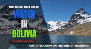 Bolivia's Aquatic Treasures: Exploring the Country's Major Waterways