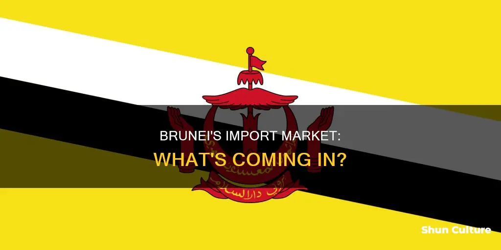 what are some major imports into brunei