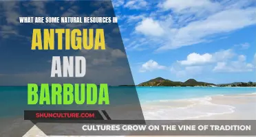 Exploring Antigua and Barbuda's Natural Resources