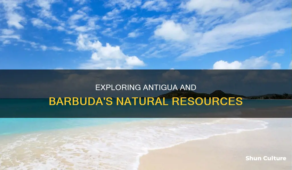 what are some natural resources in antigua and barbuda