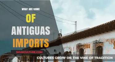 Exploring Antigua's Key Imports: A Comprehensive Trade Overview