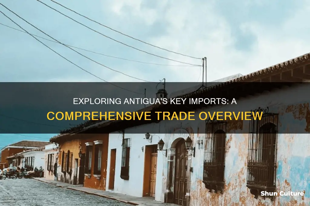 what are some of antiguas imports