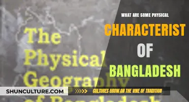 Exploring Bangladesh's Unique Physical Features: Geography, Climate, and Landscapes