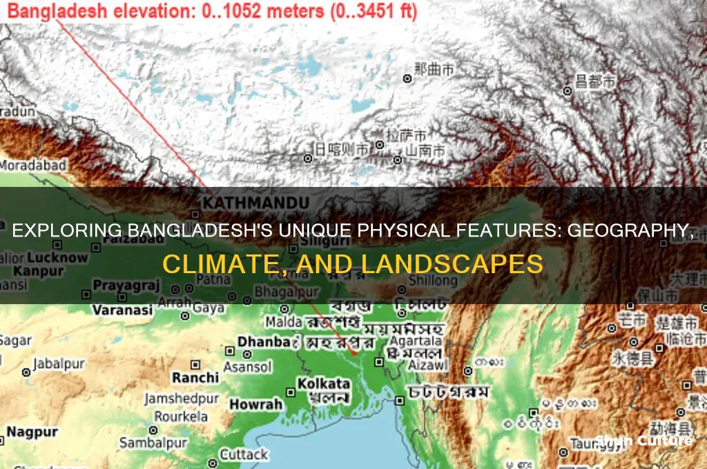 what are some physical characteristics of bangladesh