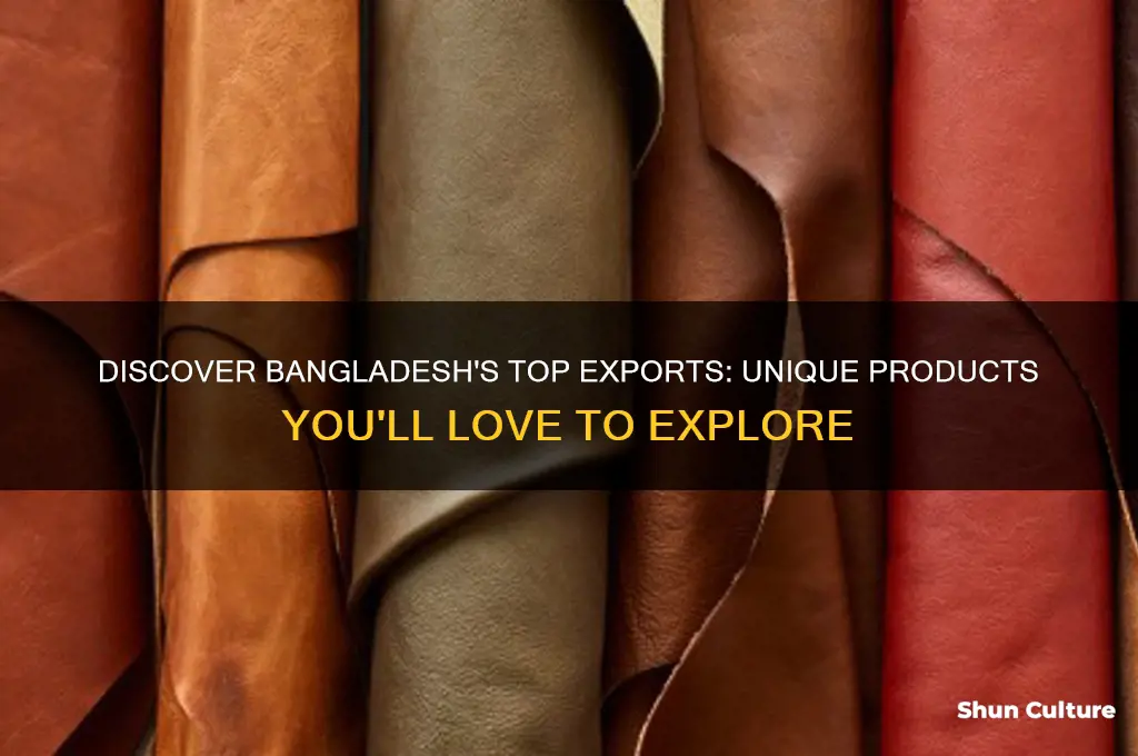 what are some products that we get from bangladesh