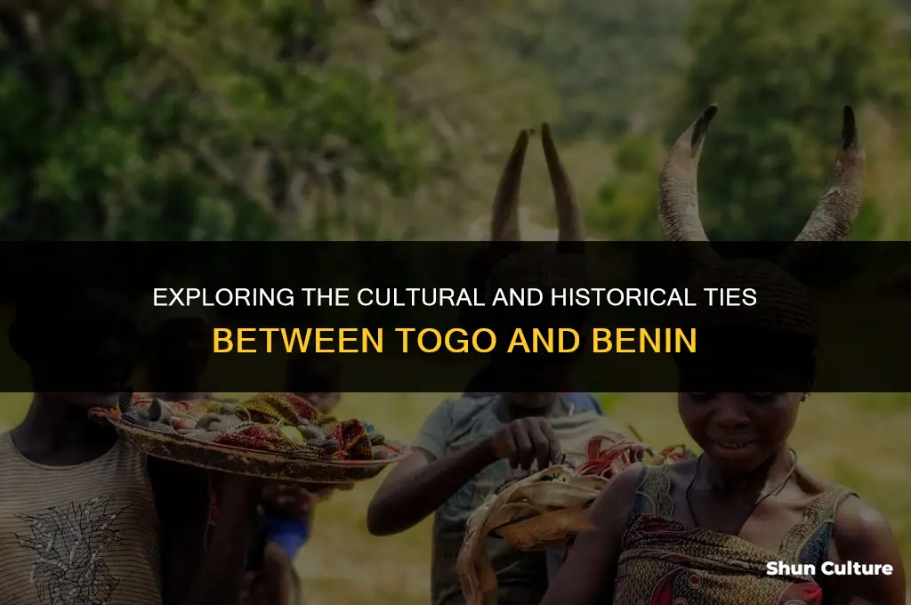 what are some similarities between togo and benin