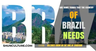 Brazil's Future: Key Needs for Growth, Sustainability, and Social Equity
