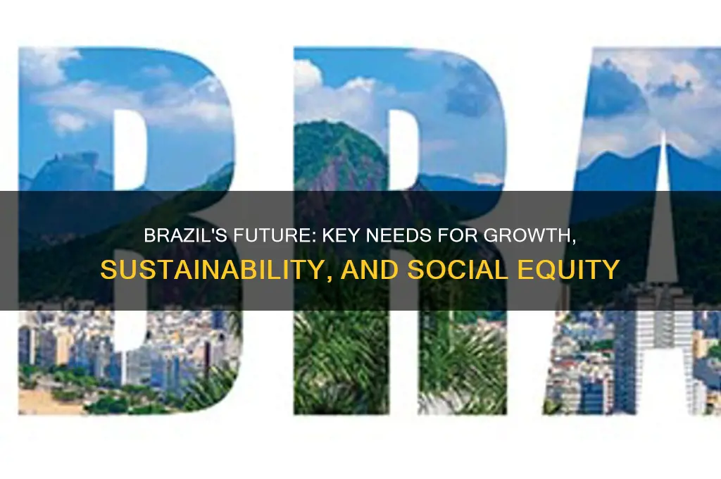what are some things that the country of brazil needs