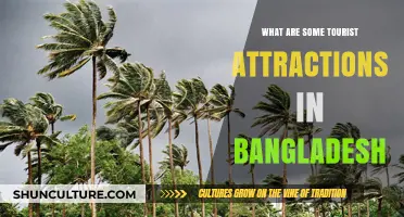 Discover Bangladesh's Hidden Gems: Top Tourist Attractions to Explore
