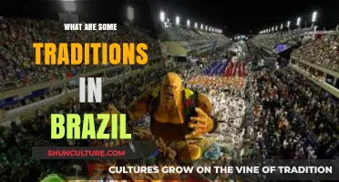 Exploring Brazil's Rich Cultural Traditions: Festivals, Food, and Celebrations