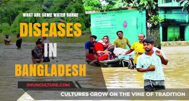 Waterborne Diseases in Bangladesh: Causes, Risks, and Prevention Strategies