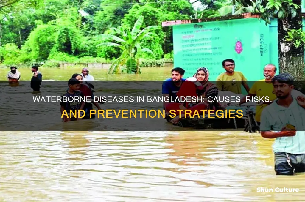 what are some water borne diseases in bangladesh