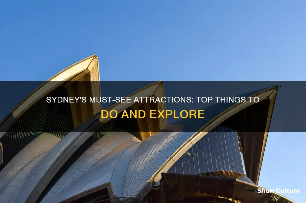 what are something to do see in sydney australia