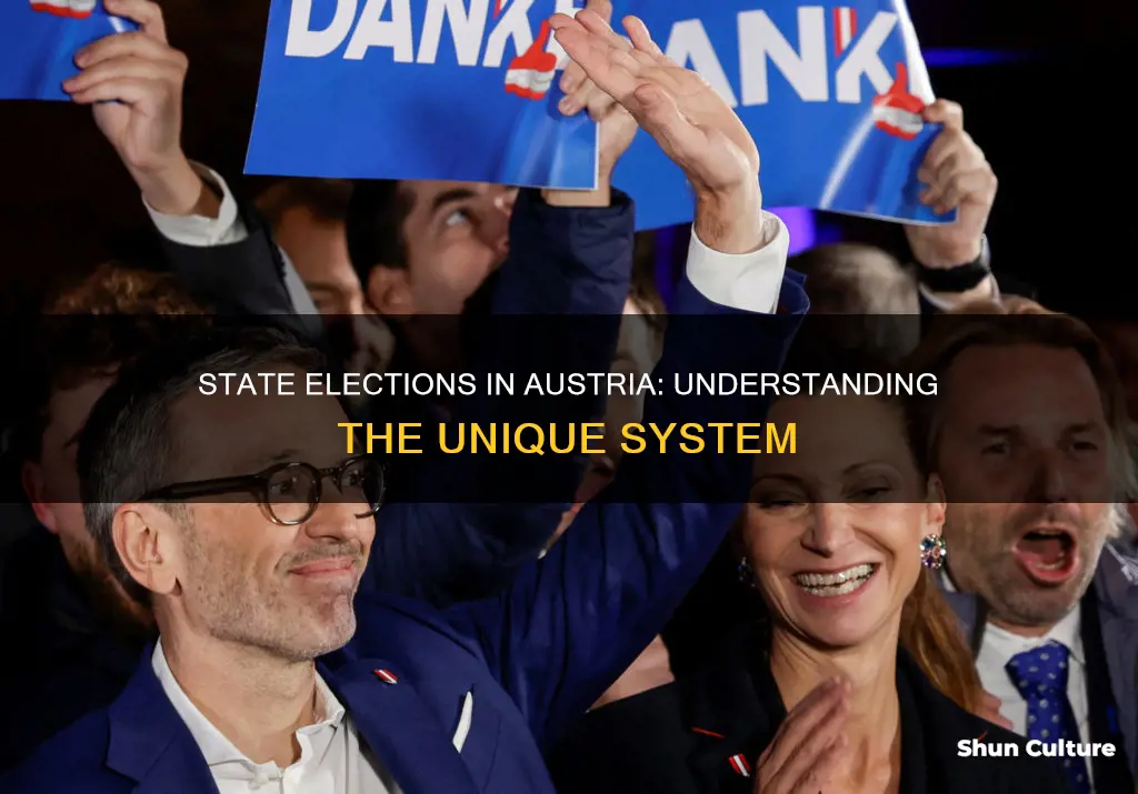 what are state level elections called in austria