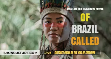 Discovering Brazil's Indigenous Communities: Names, Cultures, and Heritage