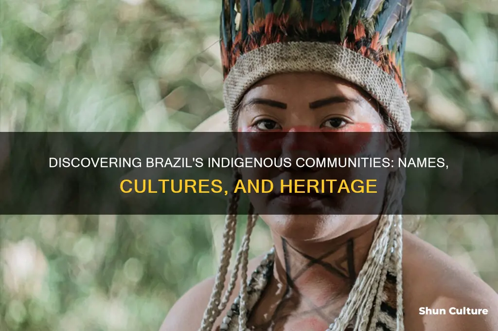 what are teh indigenous people of brazil called