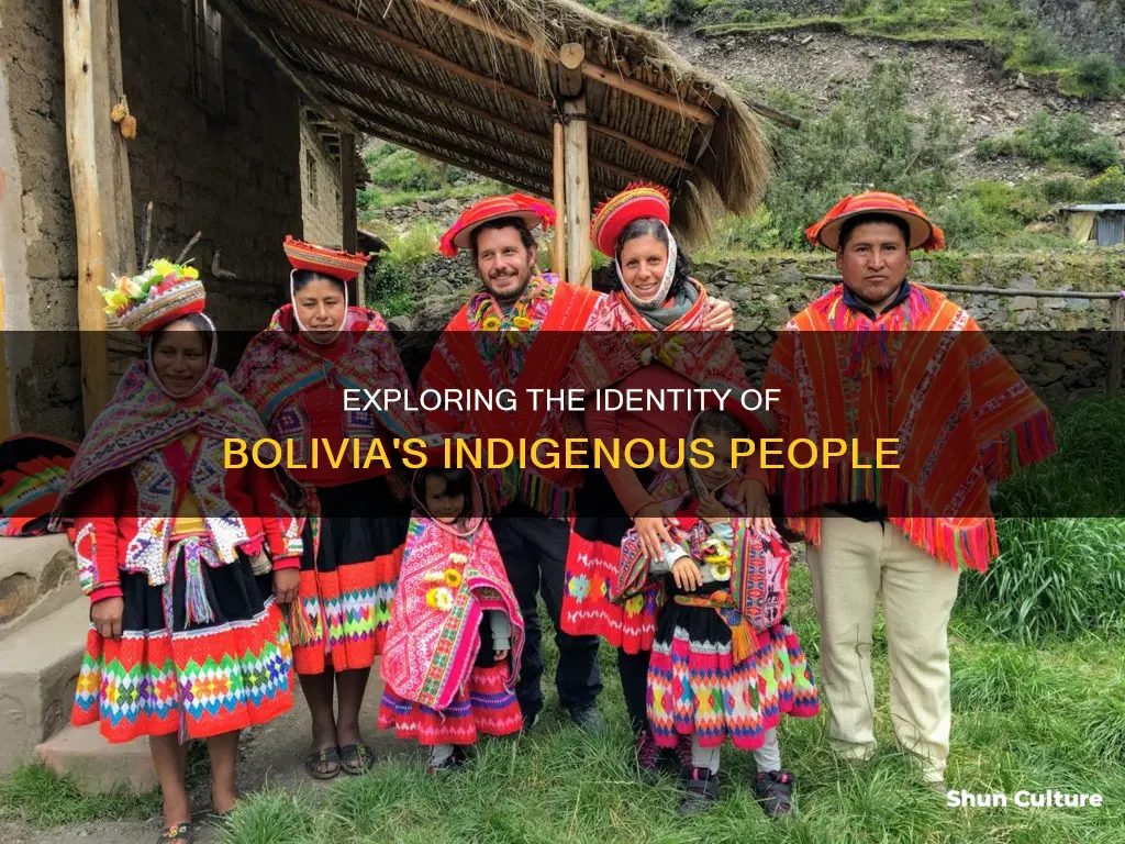 what are tge indigenous people of bolivia called