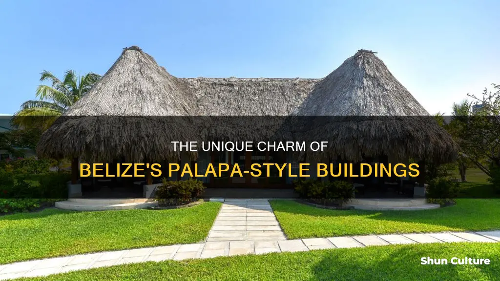 what are thatched roof buildings in belize called