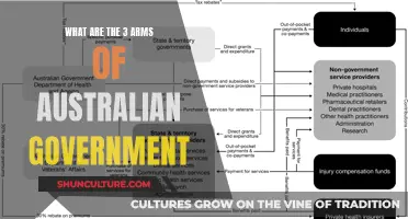Understanding Australia's Three Arms of Government