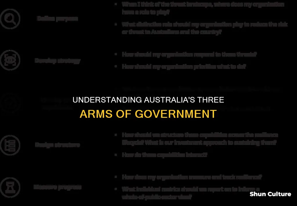 what are the 3 arms of australian government